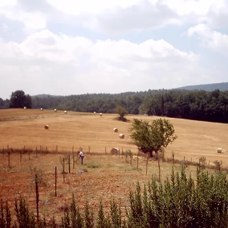 Farm stay Agriturismo Natura E Salute San Gimignano