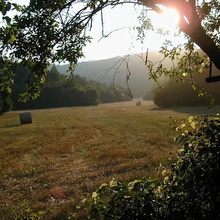 Agriturismo Natura E Salute San Gimignano