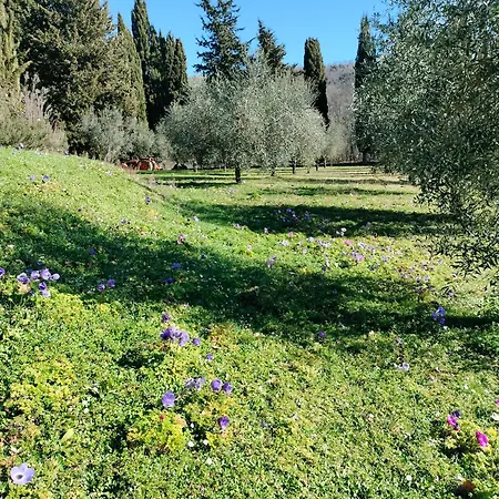 Agriturismo Natura E Salute * San Gimignano