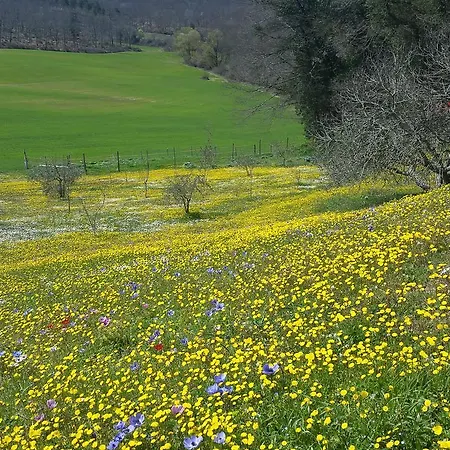 Farm stay Agriturismo Natura E Salute