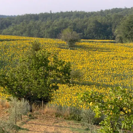 Farm stay Agriturismo Natura E Salute *